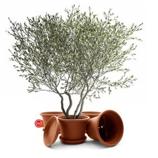 4 Stück Blumentopf mit