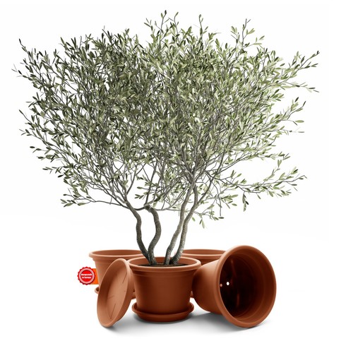 Stück blumentopf mit - 4,