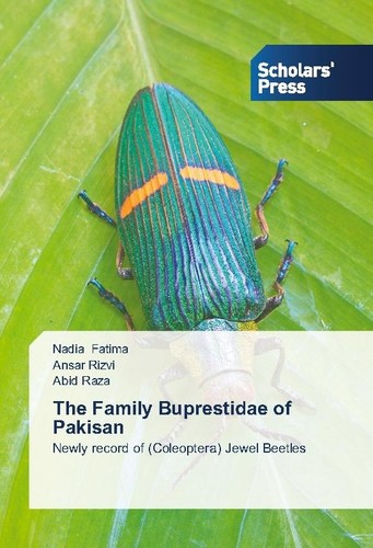 The family buprestidae - family,