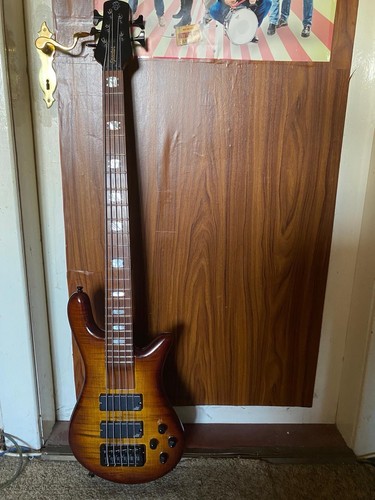 Bass spector eurobolt - spector, body