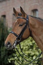 % Stübben Kandarenzaum Waterford UVP € 209,00-€249,00 %