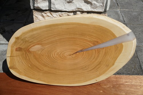 Baumscheibe holzscheibe - baumscheibe,