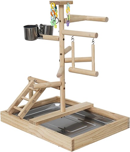 Wellensittich spielplatz - spielplatz, im