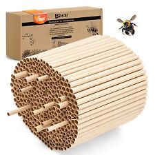 Nisthülsen für Wildbienen