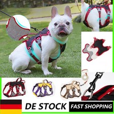 Hundegeschirr Brustgeschirr