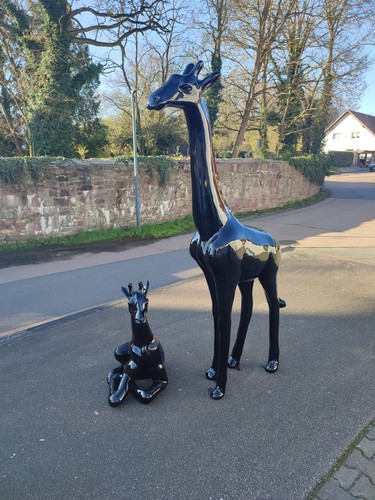 Baby giraffe xxl - giraffe, +