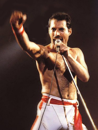 Queen freddie mercury - freddie,
