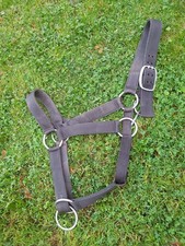 Kaltblut Halfter XXL super stark schwarz Extra Karabiner Verschluss Doppeldorne