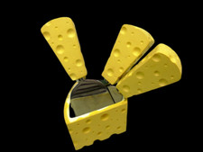 Sagaform Schweden Lustiges Käseset  4 teilig. 