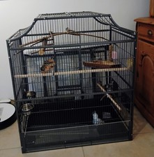 **Montana Cages Vogelkäfig / Voliere – hochwertige Qualität Madaira ll**