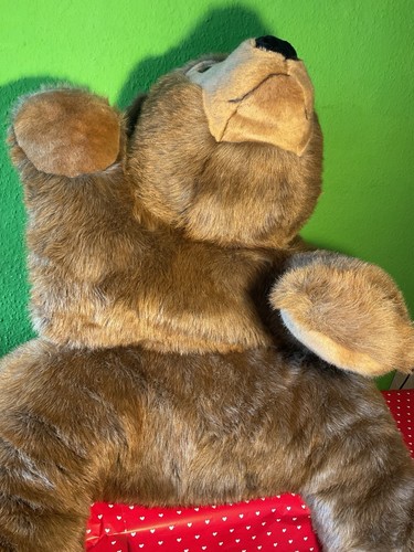 Steiff studiotier bär - steiff,