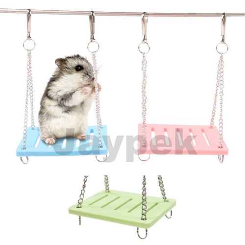 Haustier hamster hängende - hamster,