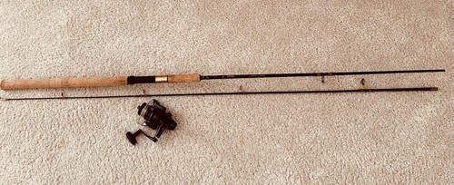Berkley im6 graphit - im6,