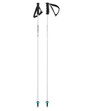 Neue Skistöcke HEAD WORLDCUP