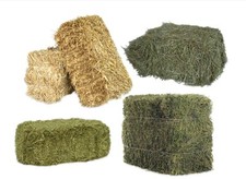 agrar-Store Heu + Stroh 1-20Kg Auswahl Heuballen 1+2Schnitt Strohballen Grummet 