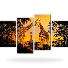 Giraffen Afrika Natur Tiere