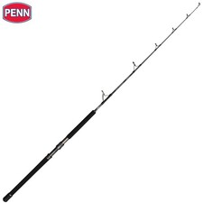 PENN Big Game Fishing Spinning