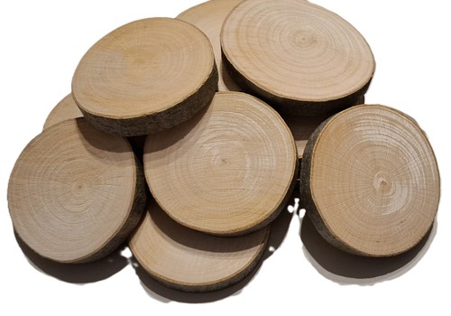 Holzscheiben astscheiben - holzscheiben,