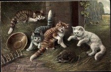 Ak Katzen haben einen Igel gefunden, Stroh, Harke, Bauernhof - 3517001
