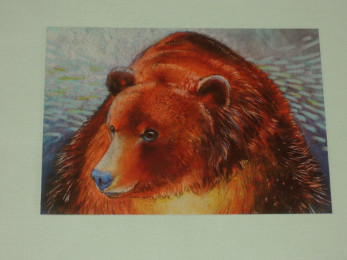 Postkarten braunbär loes - postkarten,