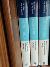 PROMETHEUS Kopf, Hals und Neuroanatomie: LernAtlas Anatomie Buch Thieme