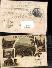 Lithographie Gruss aus d