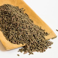 Kieselgur,Pferde,bewährt bei