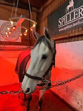 Pferdesolarium 1500w nagelneu