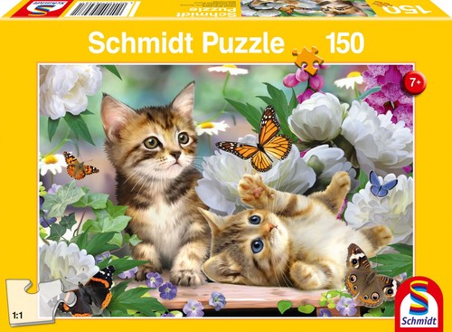 Verspielte katzenbabys - verspielte,
