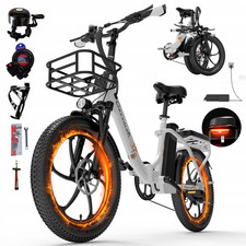 20*3.0 Zoll Elektrofahrrad 48V