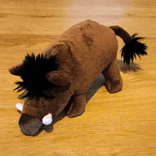Cornelissen wildschwein - cornelissen,