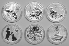 Top 6 Unzen Silber 999 Lunar