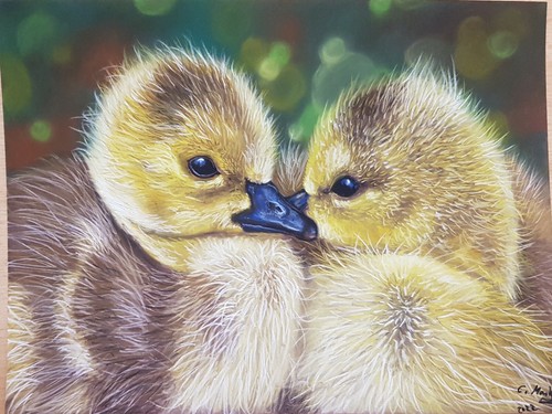 Original pastel painting - pastel,