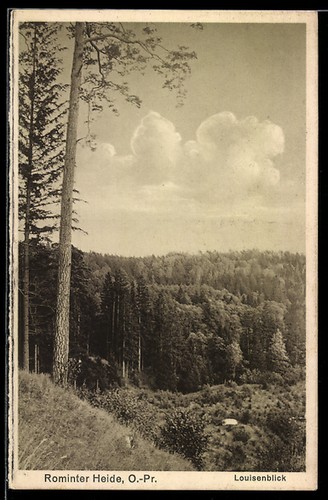 Ansichtskarte rominten - ansichtskarte,