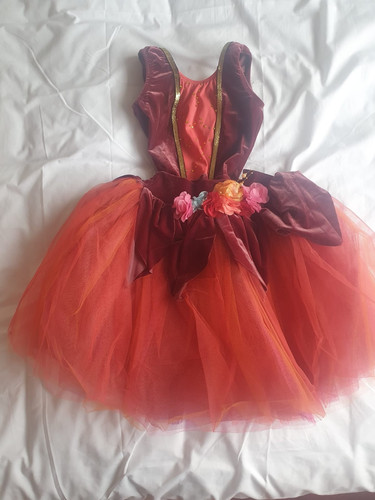 Mädchen ballett kleid tutu - mädchen,