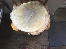 Eichenholz Baumstamm Abschnitt