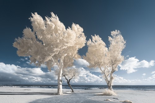 Samsung nx1000 - samsung,