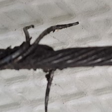 Wartburg 311 Tachowelle 