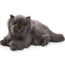 Carl dick katze perserkatze - dick, katze,