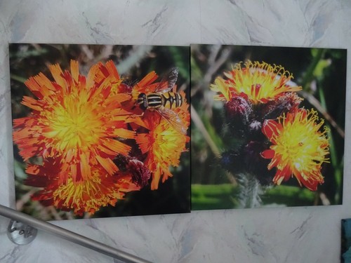 Fotos auf keilrahmen - von, der