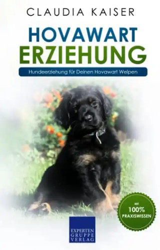 Hovawart erziehung - hovawart,