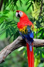 Wandbild: Wunderschöner