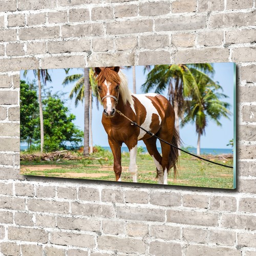 Glas bild wandbilder - druck, auf
