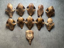 Großes Konvolut von 11