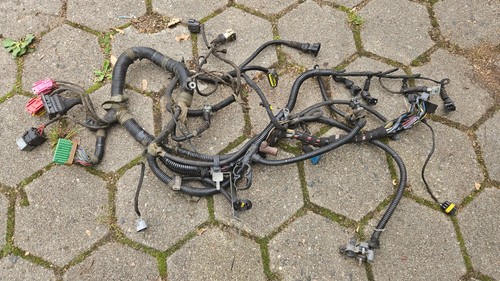 Fiat barchetta kabelbaum motor - fiat,