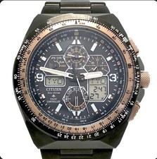 Citizen Promaster Sky