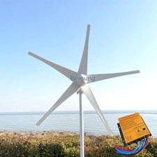 1.5KW 5 Blades Freie Energie Wind Generator 12V 24V 48V Heimgebrauch Windmühlen