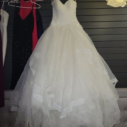 Two rosa clara designer - by,