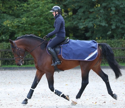 Bucas therapy quater sheet - bucas,