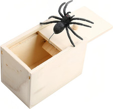 Spinne in Holzbox